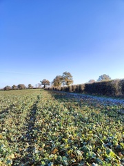 IMG20221210143855