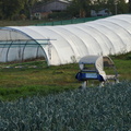 P1130121