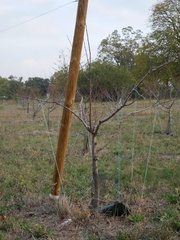 P1130072