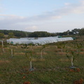 P1130064
