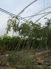 P1120971