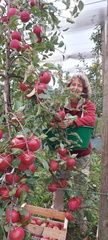 IMG-20221013-WA0013