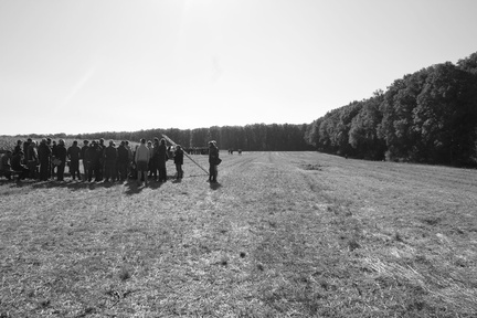 IMG 0083