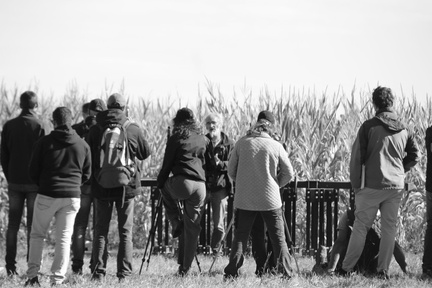 IMG 0109